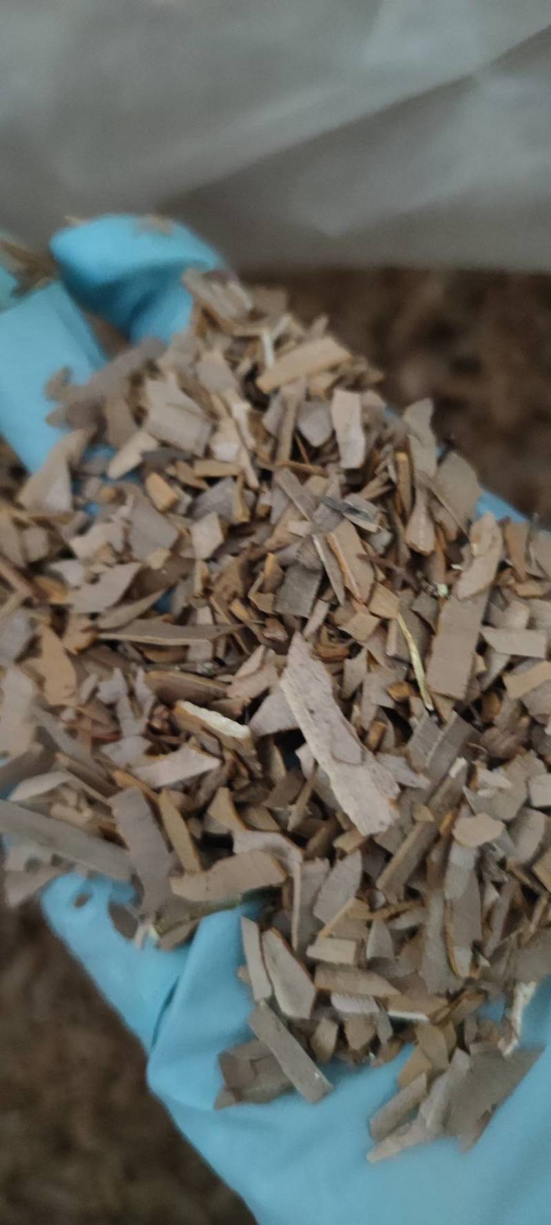 鬼箭羽过筛无沫无杆现货批发零售各种中药材