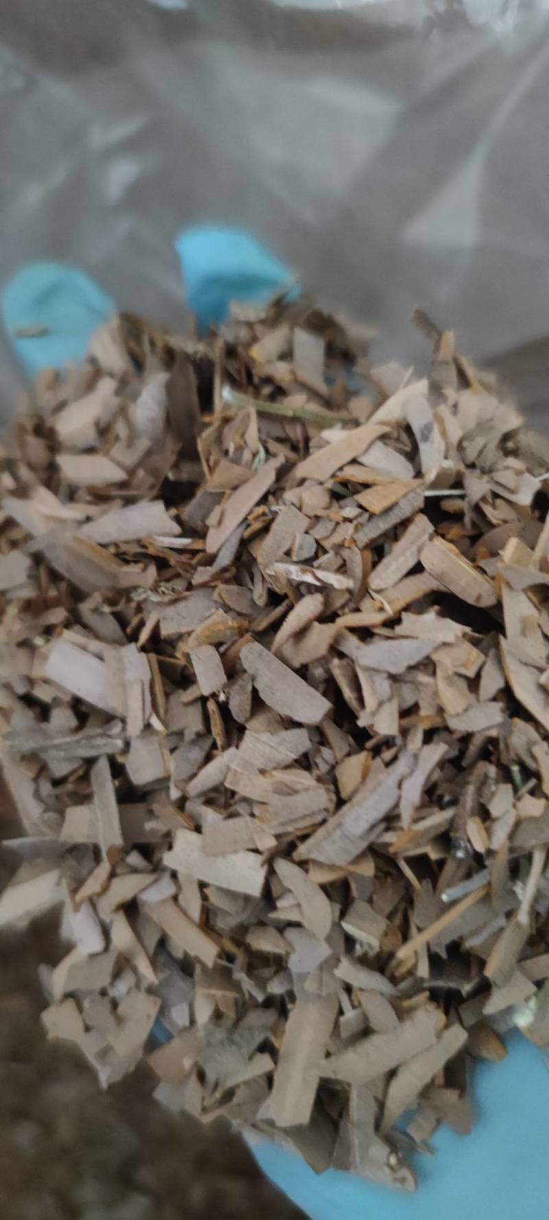 鬼箭羽过筛无沫无杆现货批发零售各种中药材