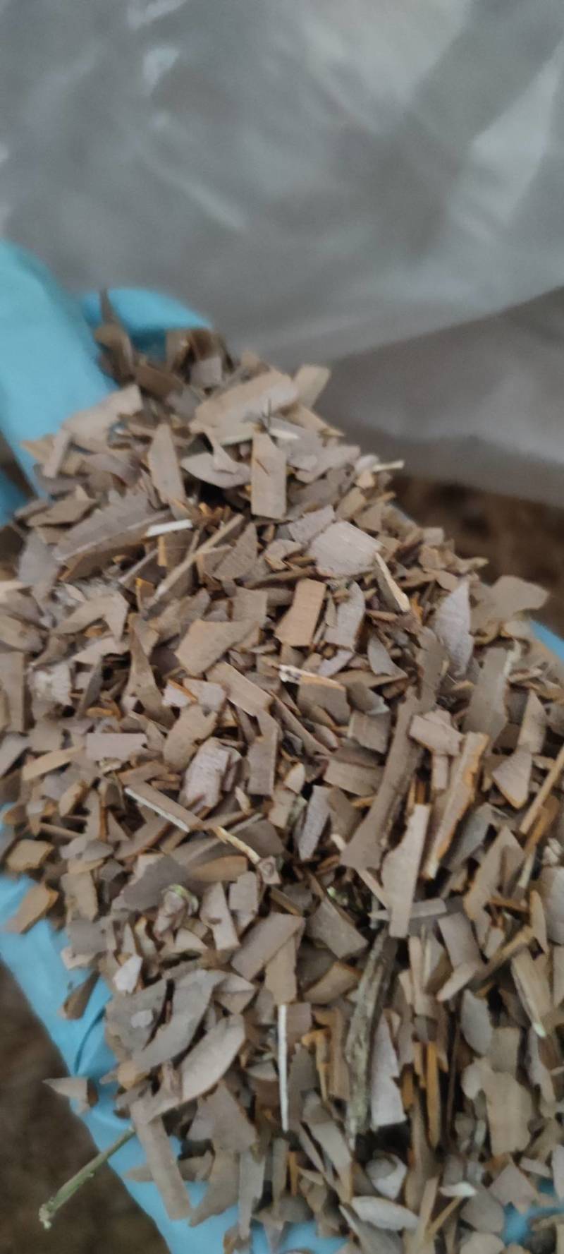 鬼箭羽过筛无沫无杆现货批发零售各种中药材