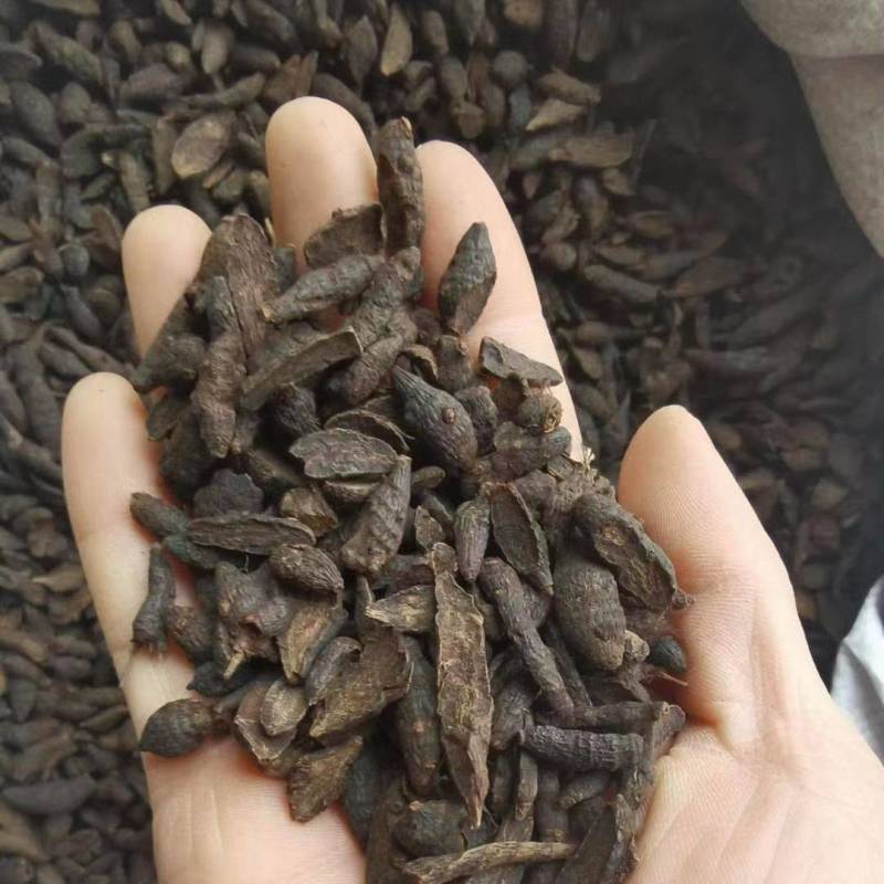 香附片醋香附纯干新货现货批发零售各种中药材