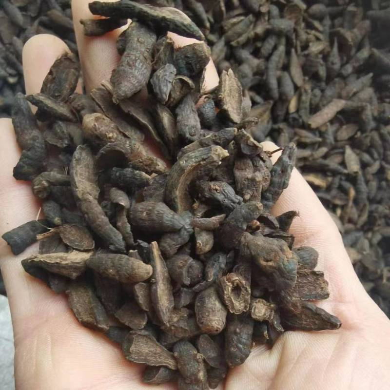 香附片醋香附纯干新货现货批发零售各种中药材