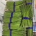 精品小中：长27-28公分