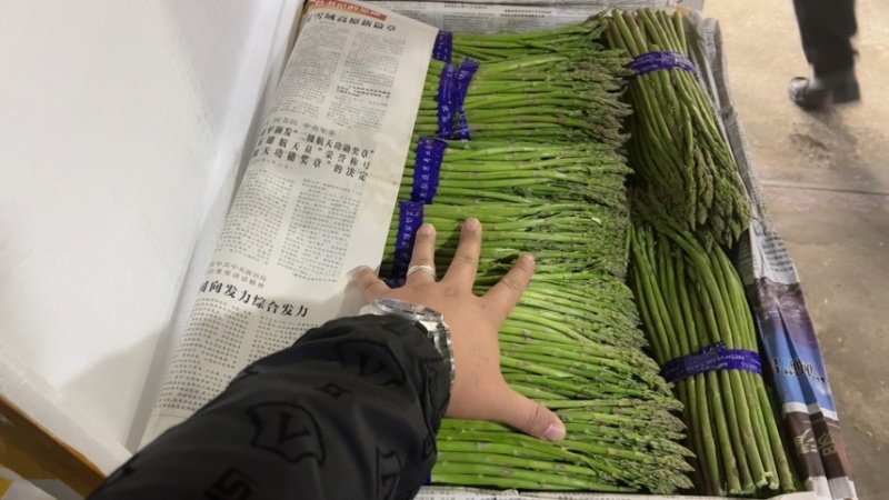 精品小中：长27-28公分