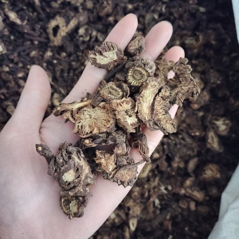 羌活，统货，一手货源，保质保量，批发各种中药材，欢迎订购