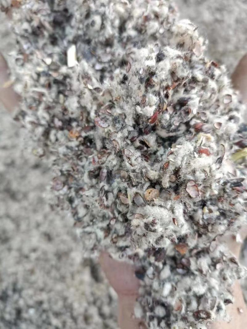 新疆棉籽壳中壳中绒菌类种植优质服务，厂家直发