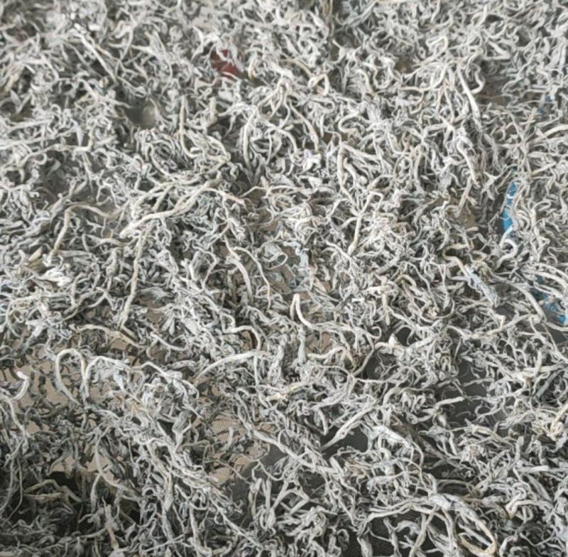 红茶龙须茶嫩芽明前野生自产自销回味悠长