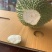 泰国猫山托曼尼榴莲果肉金黄色且甜A级果发货