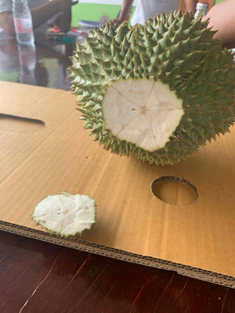 泰国猫山托曼尼榴莲果肉金黄色且甜A级果发货