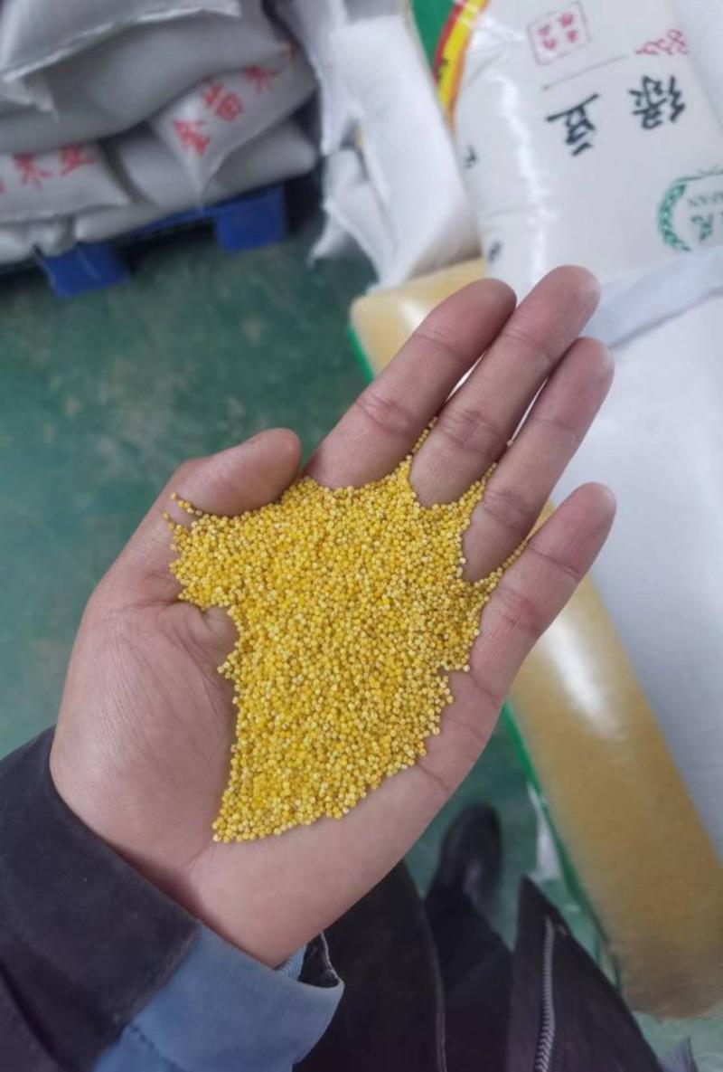 新小米，新米，黄小米，好吃的小米品种，工厂自营强供货能力