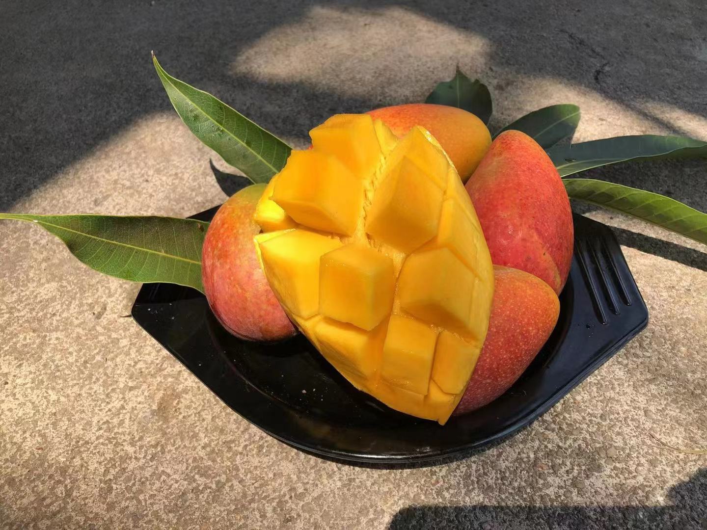 芒果与柠檬水果拼盘