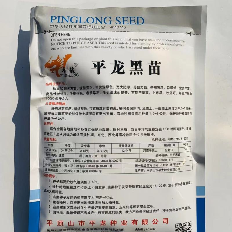 铁杆黑苗韭菜韭菜种子250g短休眠期白根韭菜种籽
