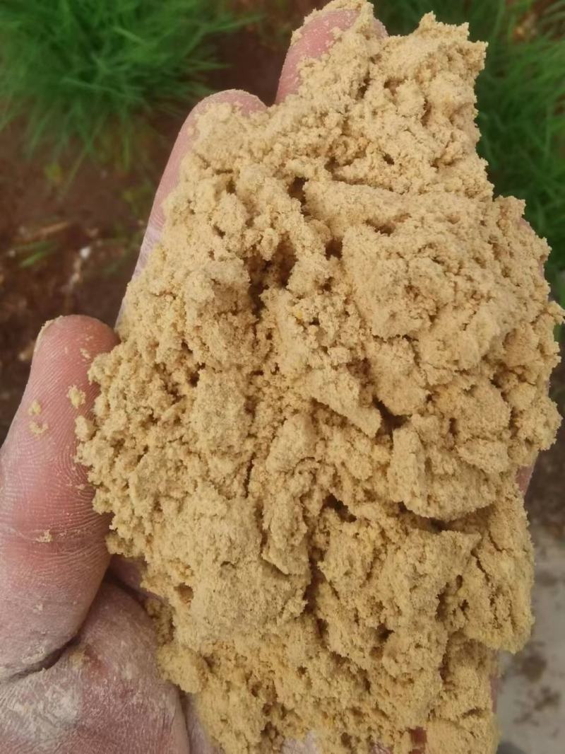 小米油糠，小米加工厂家直供，新鲜小米油糠，各种规格都有