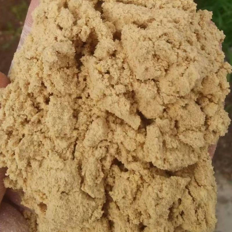 小米油糠，小米加工厂家直供，新鲜小米油糠，各种规格都有