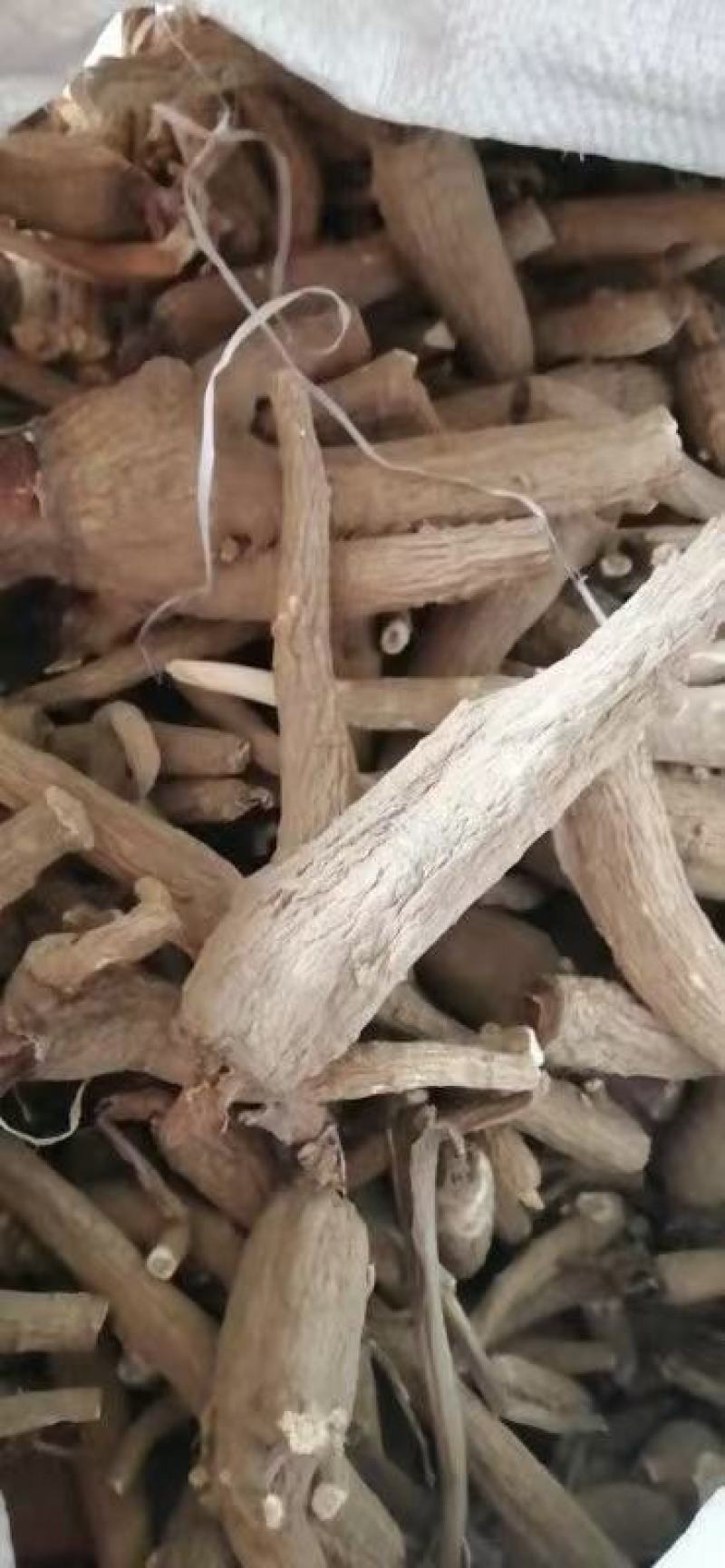 白芷白芷片白芷个子无硫