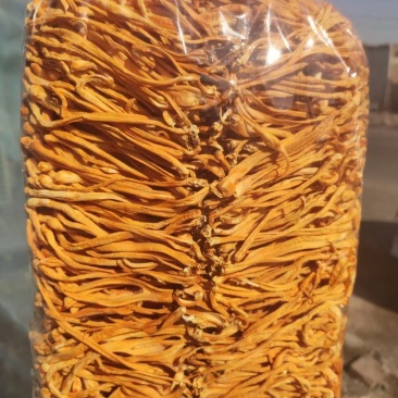 孢子头排草虫草花干货北虫草蛹虫草金虫草干菌子食用菌菌菇！