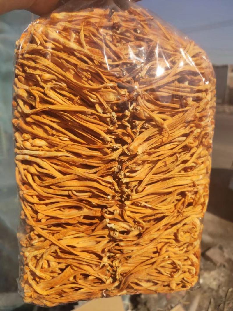 孢子头排草虫草花干货北虫草蛹虫草金虫草干菌子食用菌菌菇！