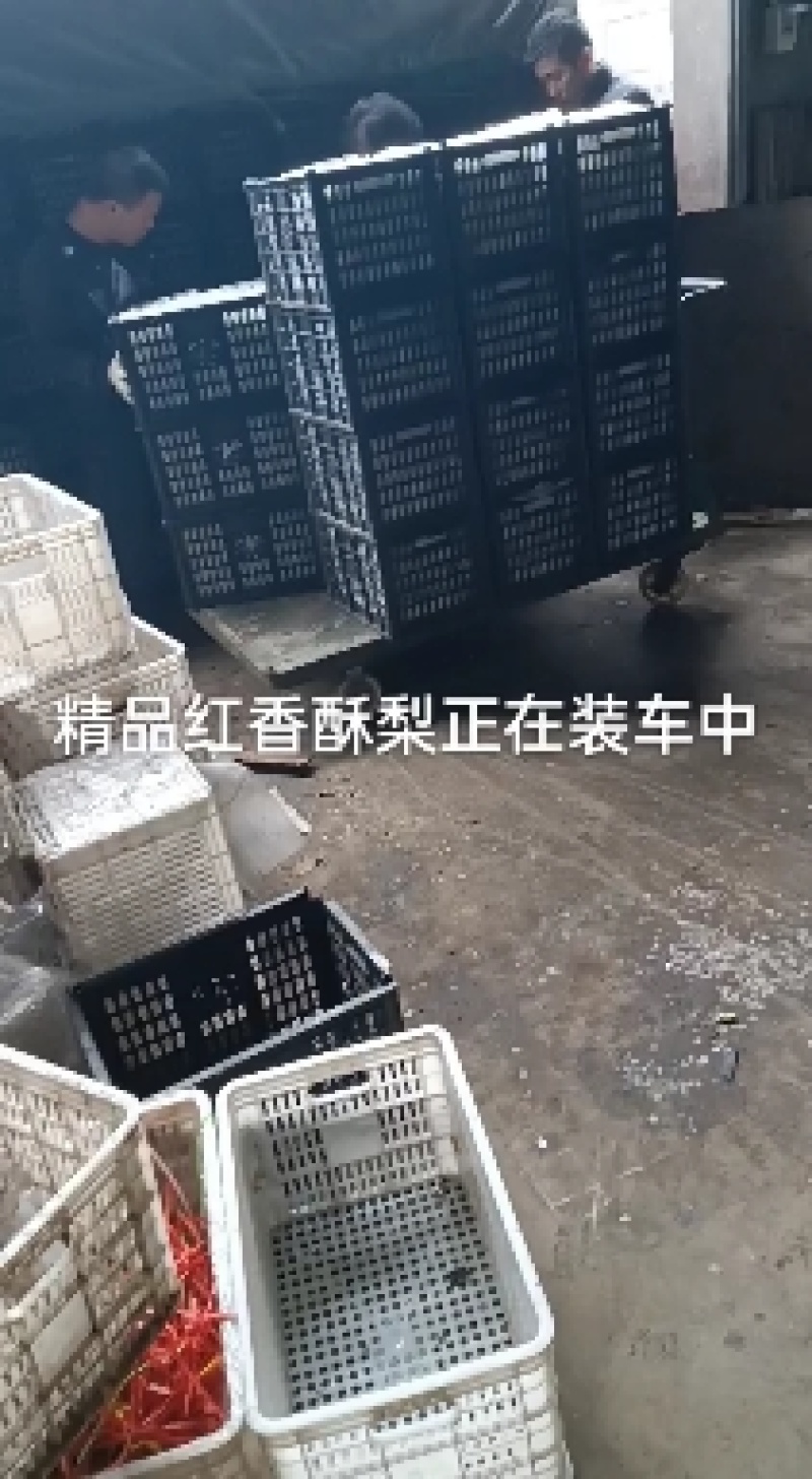 红香酥口感脆甜含糖量高购货源充足欲购从速