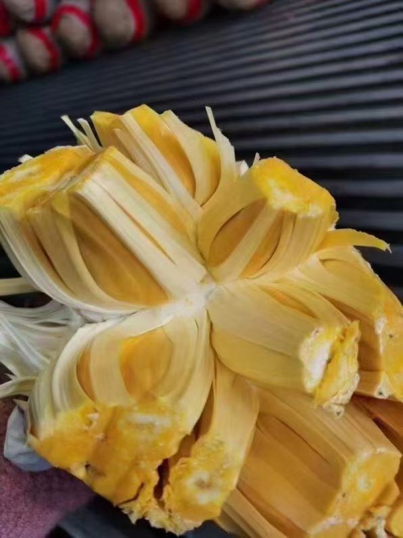 红肉菠萝蜜～红肉菠萝～批发一件代发欢迎咨询下单