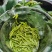 2026新茶特级芽毛尖恩施富硒绿茶