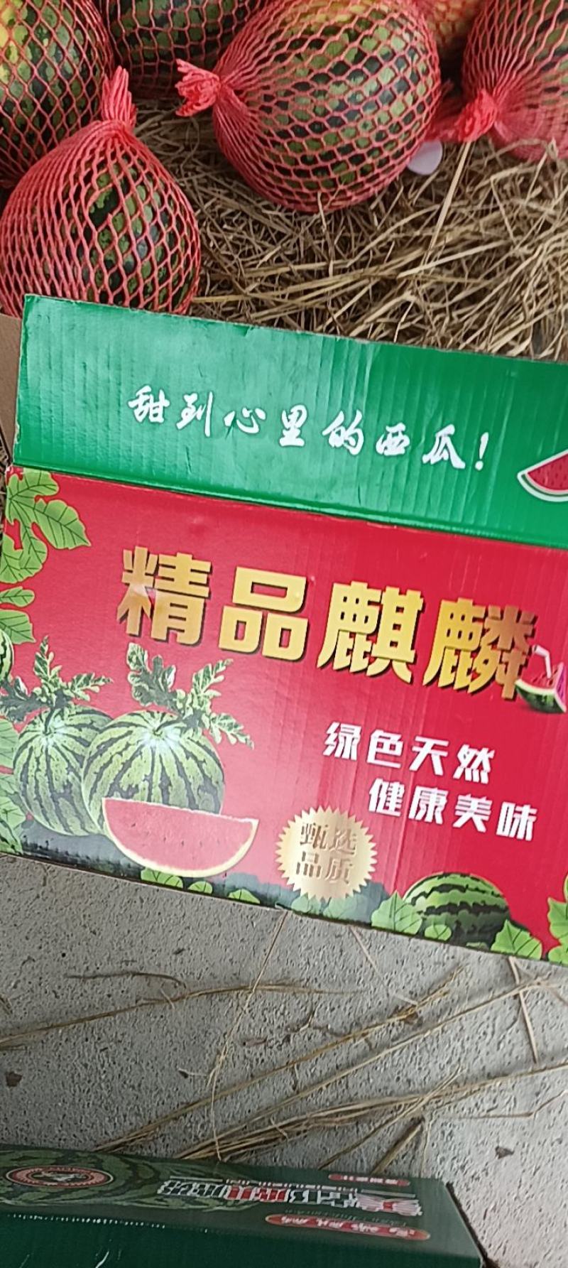 云南甜王西瓜口感甜，皮毛了，个头均匀，可视频看货。