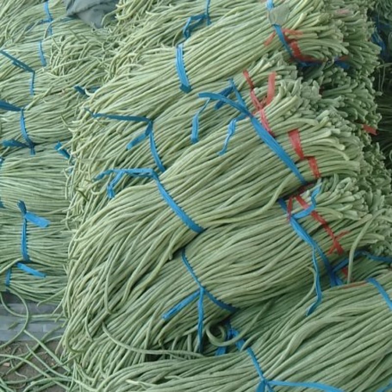 河南省南乐县付坎镇刘吕村果蔬批发市场长豆角大量上市！