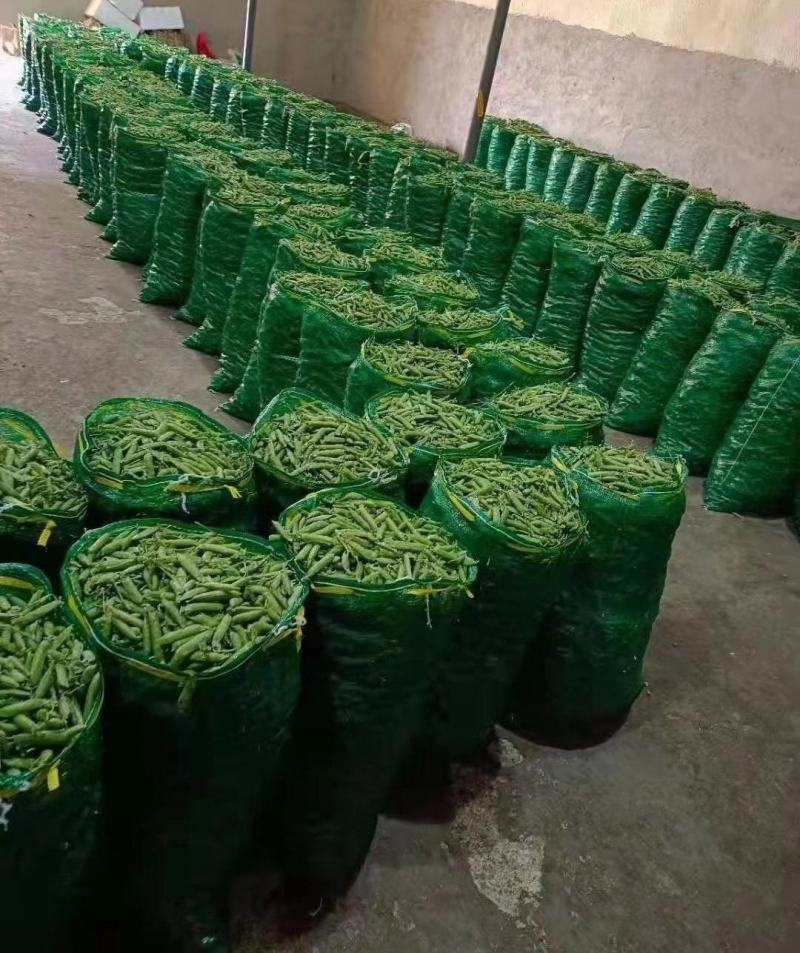 长寿仁豌豆荚新鲜嫩豌豆中青豆甜豌豆角弯豆夹荷包豆已上市