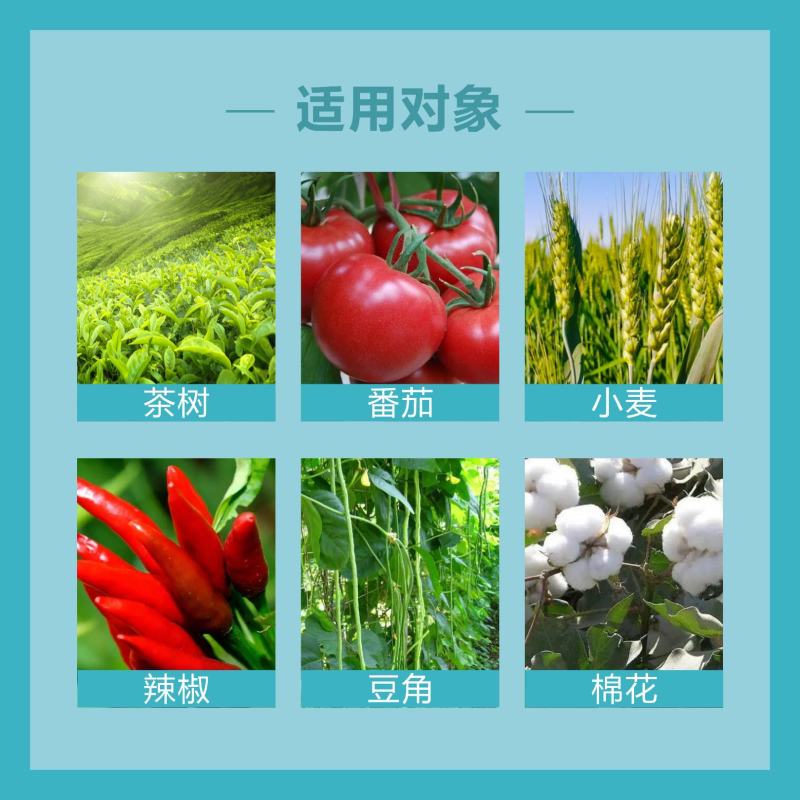 联苯菊酯植物杀虫药蔬菜农药杀虫剂