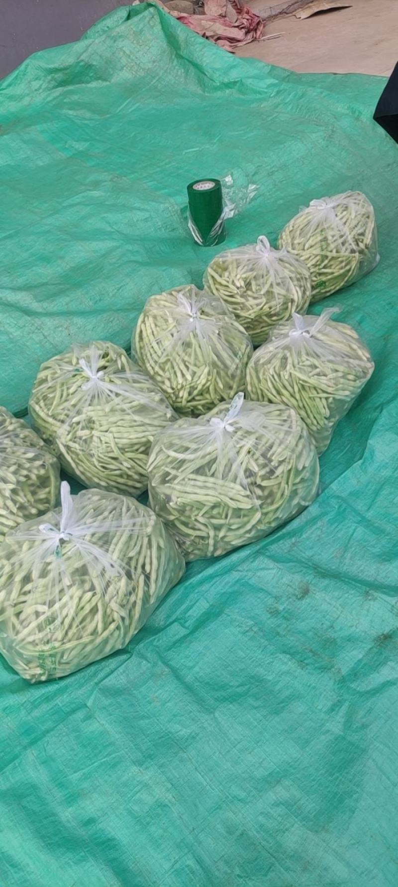 白不老