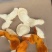 大红陈皮