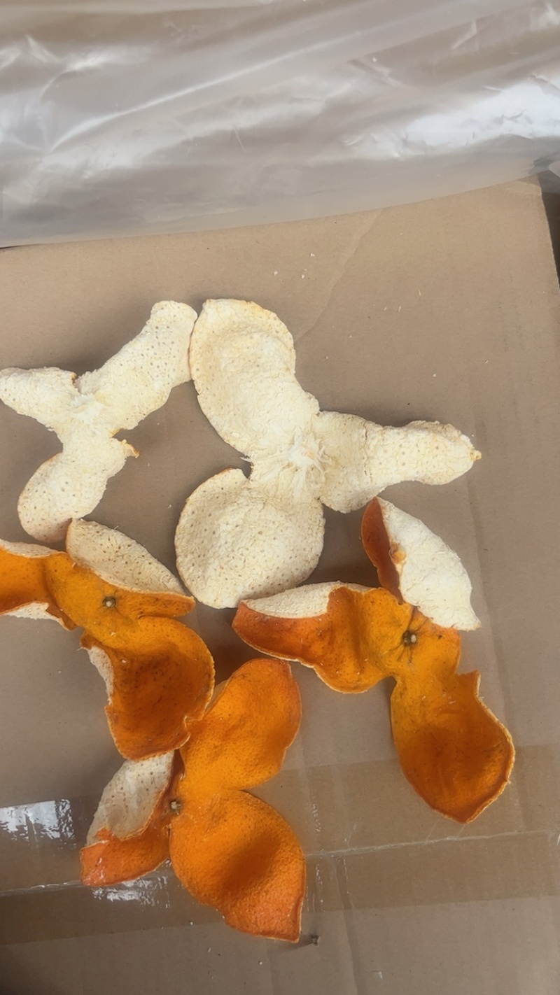 大红陈皮