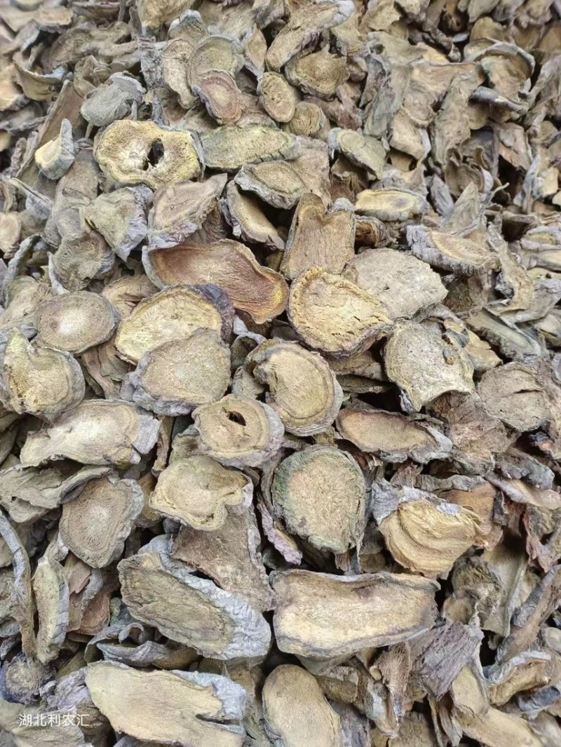 【推荐】湖北大黄大黄干片马蹄大黄无硫自然晾晒