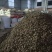 【推荐】湖北大黄大黄干片马蹄大黄无硫自然晾晒