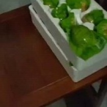 生鲜活珠子，五香活珠子