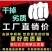 冰丝裤子男弹力休闲裤中青年松紧腰运动薄款直筒长裤