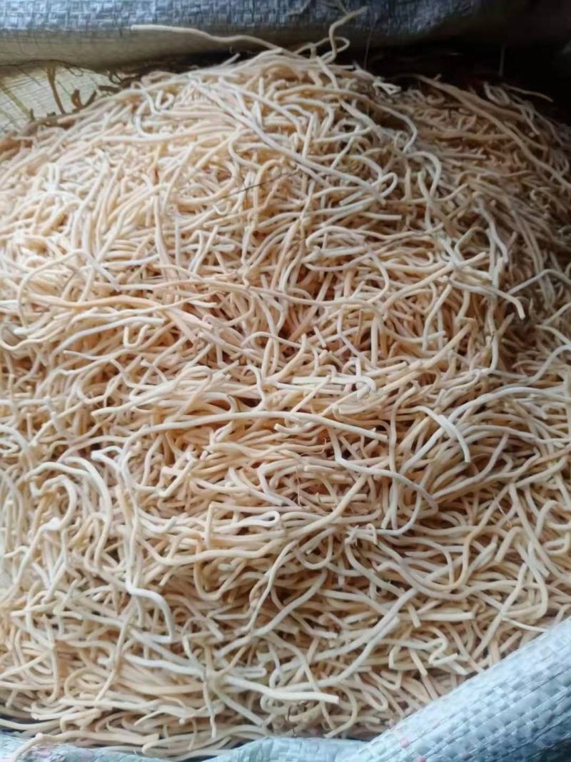 灯心草
