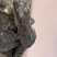 40几公分尼罗鳄