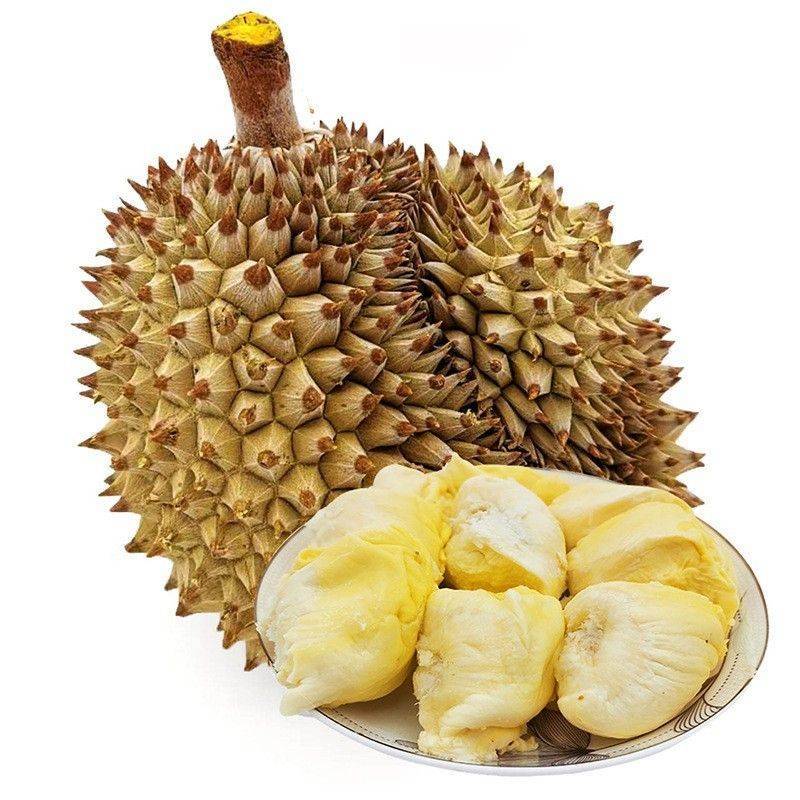 《推荐》金枕头榴莲甲仑金枕接电商供应保质保