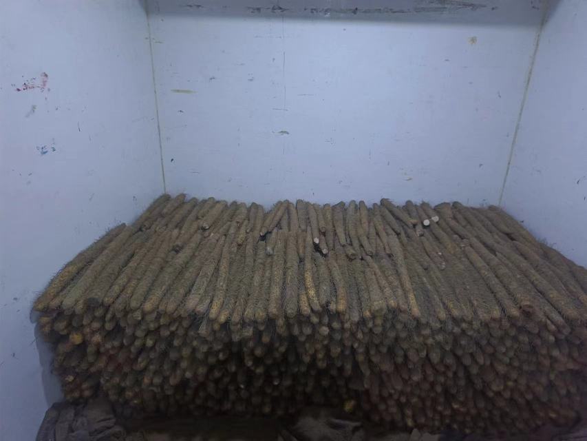 白玉山药恒温仓储场景，展示现代化仓储设备和山药存储状态