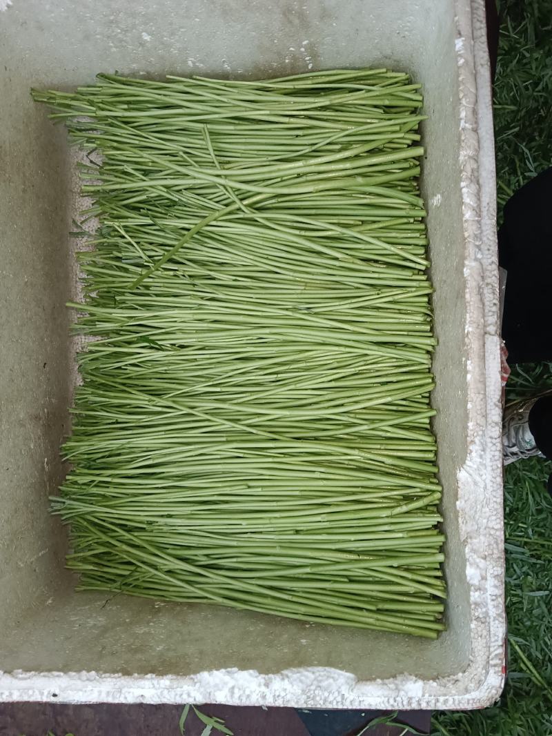 自产自销，没有中间商赚差价质量第一