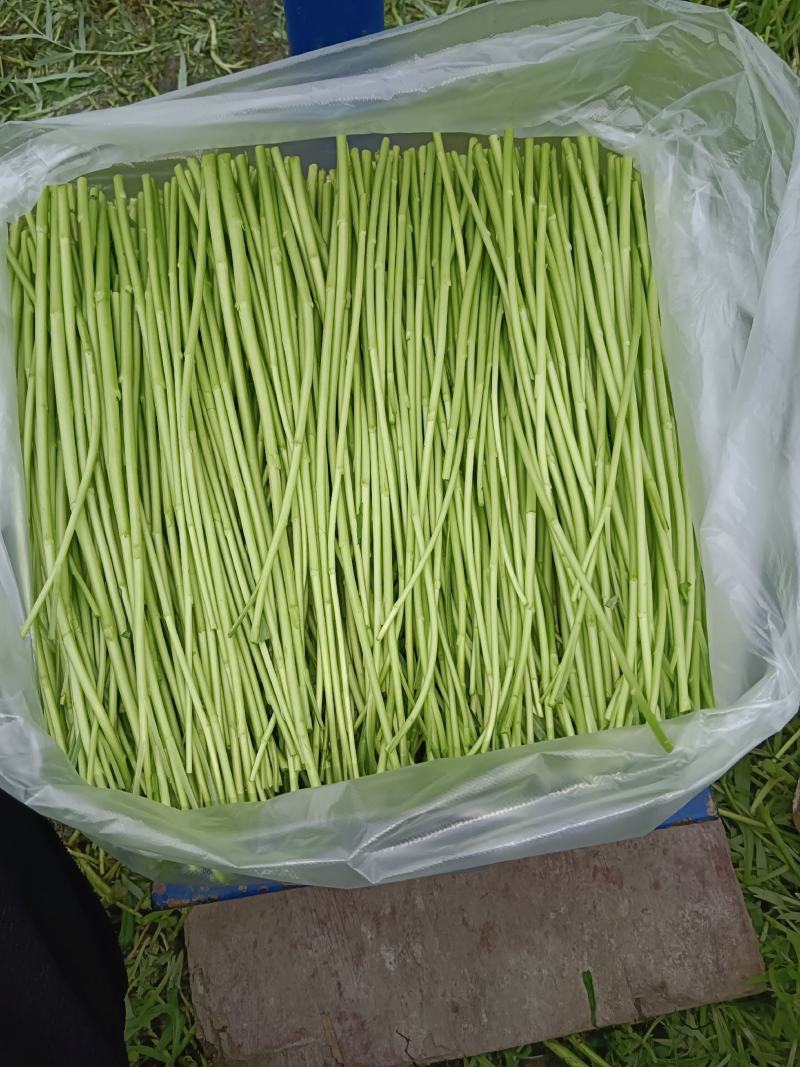 自产自销，没有中间商赚差价质量第一