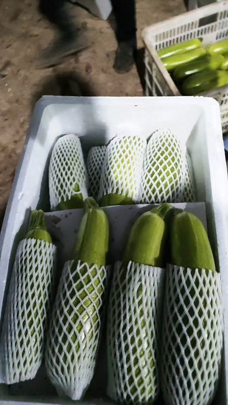 聊城万亩西湖大量供应中，电商品质，大量接单中，需要的联系