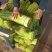 可接急单对接各大平台运营团队主播，线下市场商超