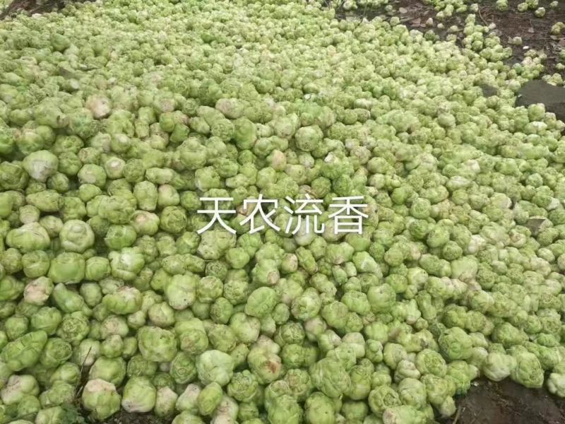 风干榨菜皮
