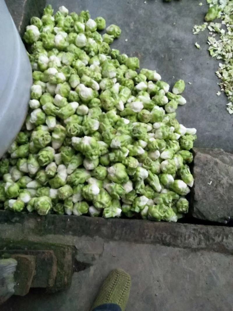 风干榨菜皮