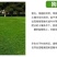 草坪种子护坡草籽绿化狗牙根高羊茅黑麦草籽百慕大四季常青草