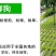 草坪种子护坡草籽绿化狗牙根高羊茅黑麦草籽百慕大四季常青草