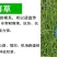 草坪种子护坡草籽绿化狗牙根高羊茅黑麦草籽百慕大四季常青草