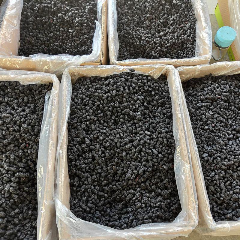500g批新鲜野生黑桑葚干无沙桑甚干泡水农家桑椹子非桑葚