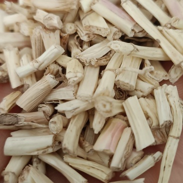 白茅根，野生无硫白毛根，货源充足，大货供应