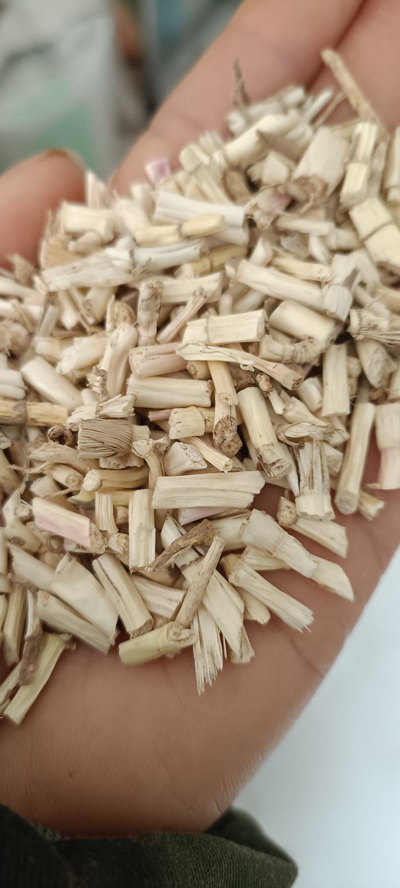 白茅根，野生无硫白毛根，货源充足，大货供应